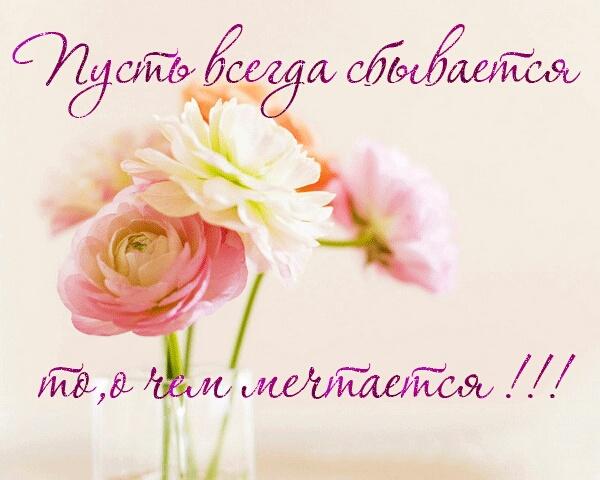 Картинка №3729
