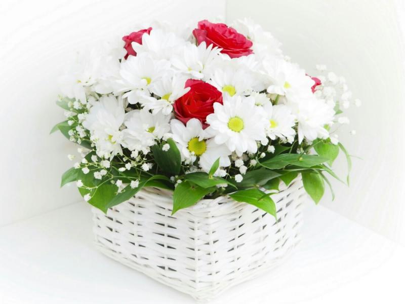 Картинка №3702