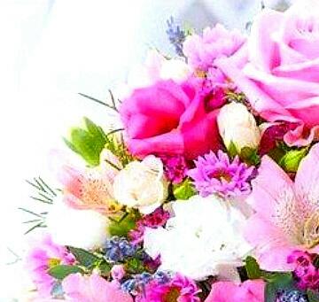 Картинка №6271