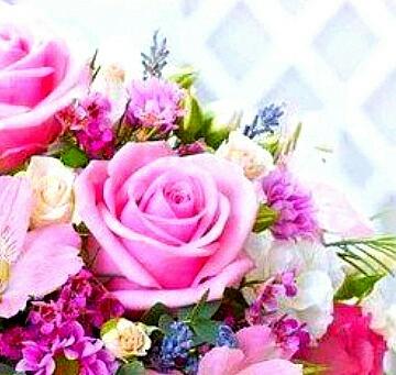 Картинка №6272